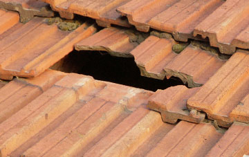 roof repair Perkins Village, Devon